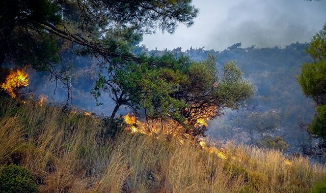 Κέρκυρα: Απαγόρευση κυκλοφορίας τη Δευτέρα σε περιοχές υψηλής επικινδυνότητας για πυρκαγιά