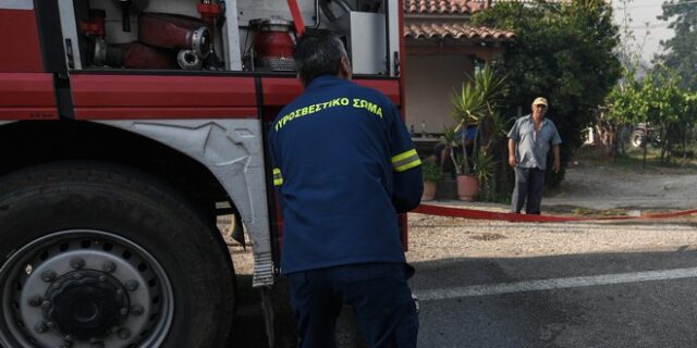 Πέλλα: Φωτιά στον Προφήτη Ηλία – Επιχειρούν και εναέρια μέσα