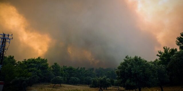 Φωτιά στη Ρόδο: “Παλεύουμε πέντε ημέρες μόνοι μας” – Δραματική έκκληση εθελοντή από το μέτωπο