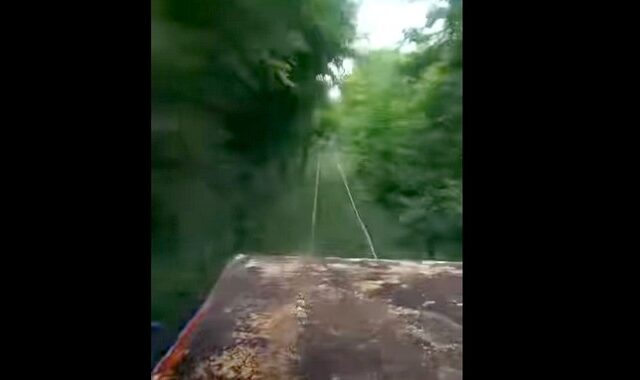 ΟΣΕ: Βίντεο δείχνει τις γραμμές “θαμμένες” στα δέντρα – “Ούτε ελικόπτερο δεν σε βρίσκει”