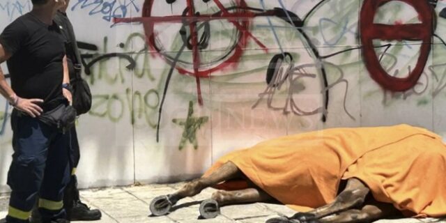 Νεκρό άλογο στην Κέρκυρα: Καταγγελία ότι ο ιδιοκτήτης το μαστίγωνε πριν πεθάνει