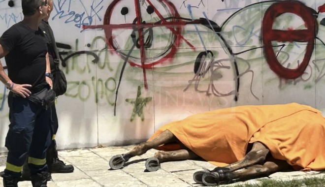 Νεκρό άλογο στην Κέρκυρα: Καταγγελία ότι ο ιδιοκτήτης το μαστίγωνε πριν πεθάνει