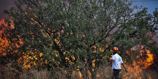 Φωτιές: Δύο νεκροί στη Μαγνησία – Πύρινα μέτωπα σε Λαμία και Κάρυστο