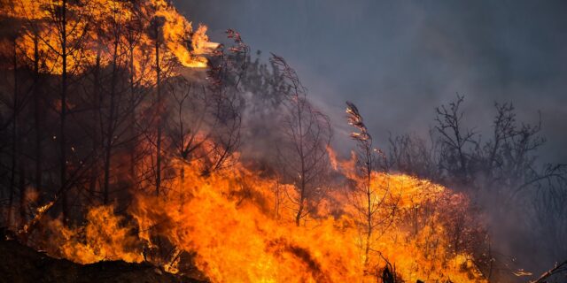 Βόλος: Συνελήφθη άνδρας που έβαζε φωτιά σε κάδους απορριμμάτων