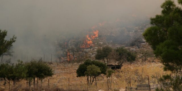 Σε εξέλιξη η φωτιά στη Χίο: Εκκενώθηκαν δύο χωριά – Προκλήθηκε από τροχαίο