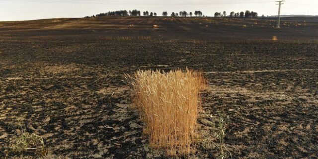 ΕΕ: Σοβαρή ξηρασία σχεδόν στο ήμισυ της επικράτειας – Πώς μπορεί να επηρεαστεί η παραγωγή τροφίμων