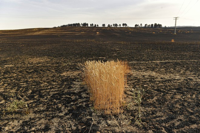 ΕΕ: Σοβαρή ξηρασία σχεδόν στο ήμισυ της επικράτειας – Πώς μπορεί να επηρεαστεί η παραγωγή τροφίμων