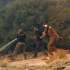 Φωτιά στην Καλή Πέλλας – Επιχειρούν και εναέρια μέσα