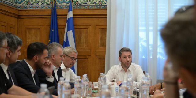 Ανδρουλάκης: “Η κυβέρνηση απέτυχε παταγωδώς να προστατεύσει το δάσος της Δαδιάς”