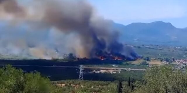 Φωτιά στη Μεσσηνία: Εκκενώνεται με μήνυμα 112 η περιοχή Ασπροπουλιά