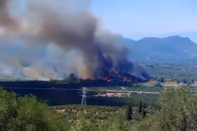 Φωτιά στη Μεσσηνία: Εκκενώνεται με μήνυμα 112 η περιοχή Ασπροπουλιά