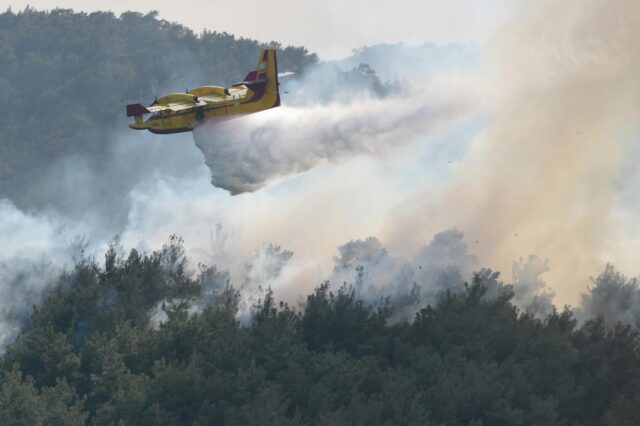 Φωτιές: Στη Δαδιά επικεντρώνονται οι προσπάθειες – Εστίες σε Λακωνία και Φθιώτιδα