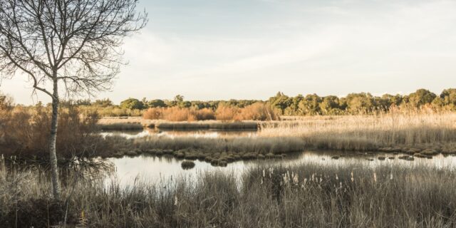 Ισπανία: Ξεράθηκε εντελώς η μεγαλύτερη λίμνη του εθνικού πάρκου στην Ντονιάνα, λόγω καύσωνα