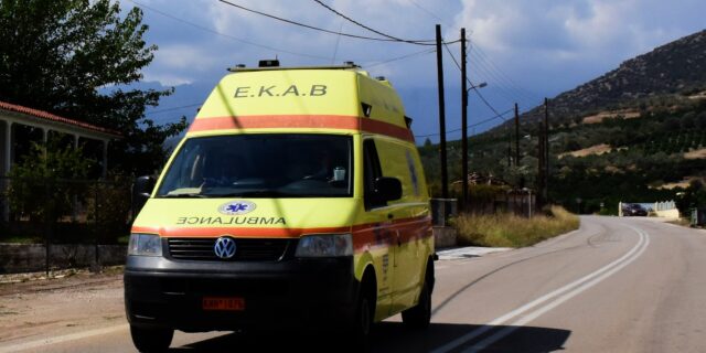 Σέρρες: Σκύλος επιτέθηκε και τραυμάτισε 7χρονο
