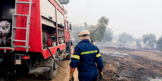 Εύβοια: Σε ένα μέτωπο κινείται η φωτιά – Στάχτη 6.500 στρέμματα