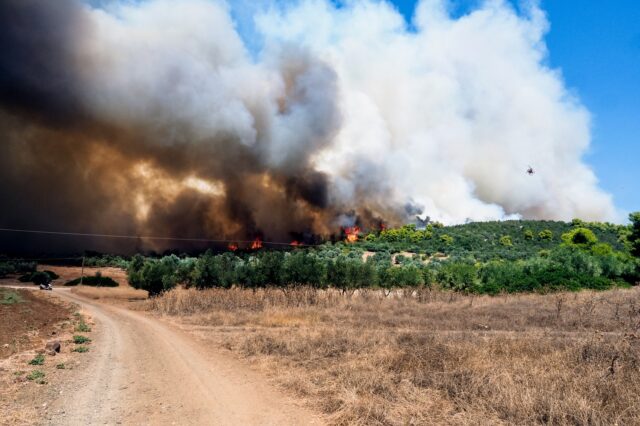 Φωτιά στην Εύβοια: Μεγάλο το μέτωπο σε Νέα Αρτάκη και Ψαχνά – Ισχυροί άνεμοι στην περιοχή