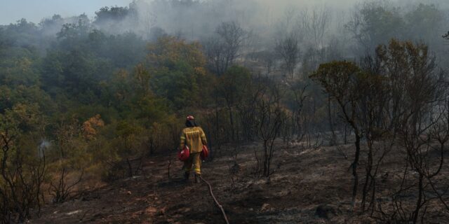 Φωτιές: Κάηκαν 1,7 εκατ. στρέμματα από την αρχή του έτους – 1,2 εκατ. μόνο τον Αύγουστο
