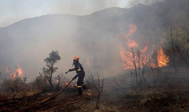 Φωτιές: Μάχη με τις αναζωπυρώσεις και τους ανέμους σε Έβρο και Ροδόπη – Εκκενώνονται οικισμοί