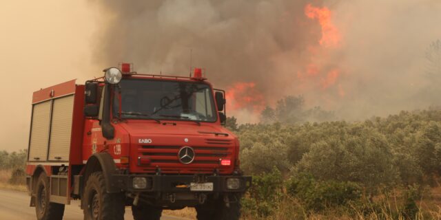 Φωτιά στον Έβρο: Νέα αναζωπύρωση – Επιχειρούν επίγειες και εναέριες δυνάμεις