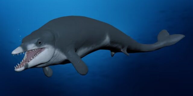 Αίγυπτος: Ανακαλύφθηκαν απολιθωμένα οστά φάλαινας ηλικίας 41 εκατ. ετών