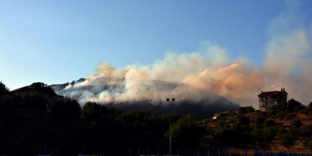 Τρίπολη: Προφυλακίστηκε ο 29χρονος για τη φωτιά στον Άγιο Βλάση