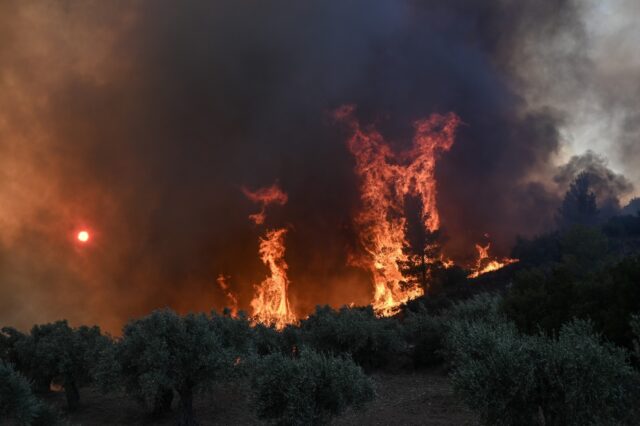 Φωτιά τώρα στην Παιανία – Κινητοποίηση της Πυροσβεστικής