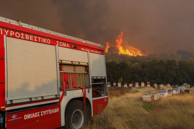 Φωτιά στην Πεύκη Ηλείας – Μεγάλη κινητοποίηση της Πυροσβεστικής