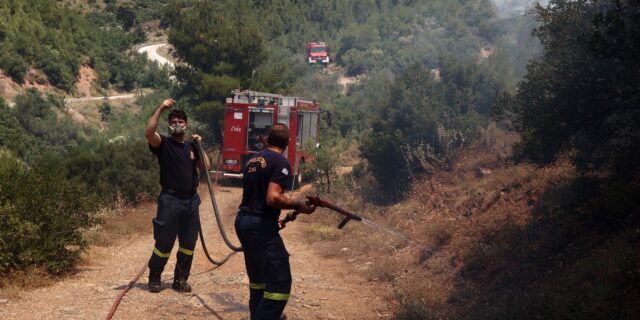 Ροδόπη: Φωτιά σε δάσος στη Δημοτική Ενότητα Κέχρου