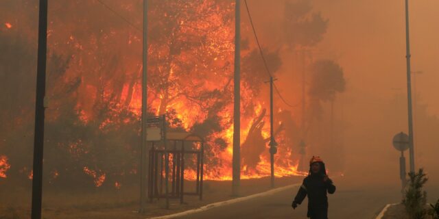 Φωτιά στη Φυλή: Οι φλόγες πλησιάζουν στα Άνω Λιόσια – Δραματικές στιγμές για τους κατοίκους