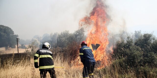 Φωτιά σε δασική έκταση (φωτογραφία αρχείου)