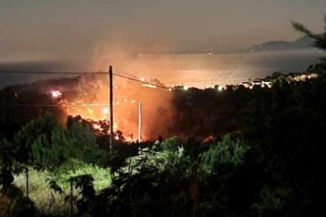 Κεφαλονιά: Φωτιά στην περιοχή Σπαρτιά
