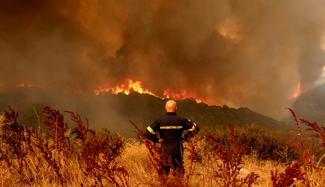 Φωτιές: Εφιάλτης δίχως τέλος το φετινό καλοκαίρι – Σοκαριστικά στοιχεία για την έκταση καμένης γης στη χώρα