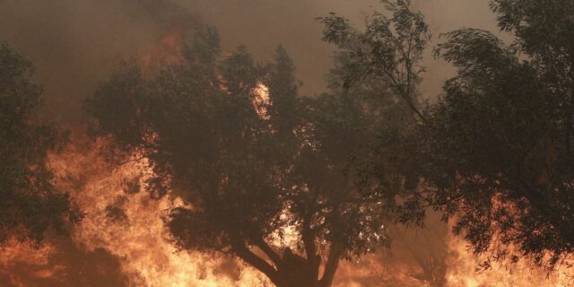 Φωτιά στην Πάρνηθα: Κλειστή η Αττική Οδός από Ελευσίνα μέχρι Περιφερειακή Αιγάλεω