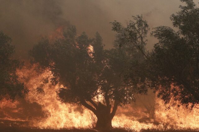 Φωτιά στην Πάρνηθα: Κλειστή η Αττική Οδός από Ελευσίνα μέχρι Περιφερειακή Αιγάλεω