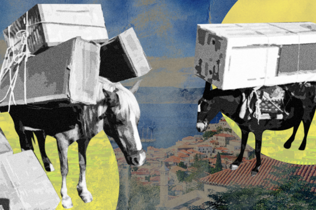 Όλη η σκληρή αλήθεια (και οι μύθοι) για τα μουλάρια της Ύδρας