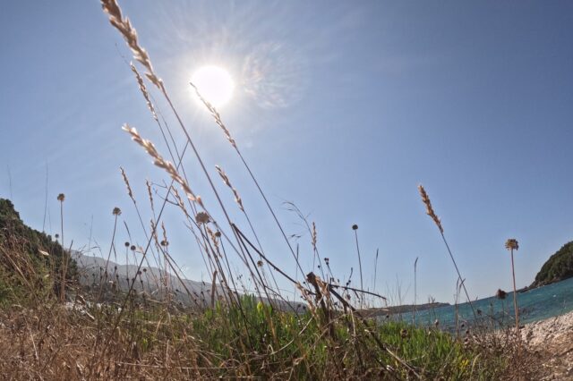 Καιρός: Παραμένουν τα μελτέμια, ανεβαίνει η θερμοκρασία