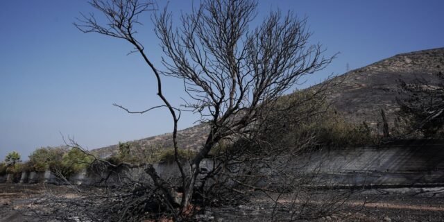 Κίνηση Κατοίκων SOS Γαλάζια Ακτή Δήμου Σαρωνικού: Η Πολιτική Προστασία παραδέχεται τεράστιο κίνδυνο πυρκαγιάς