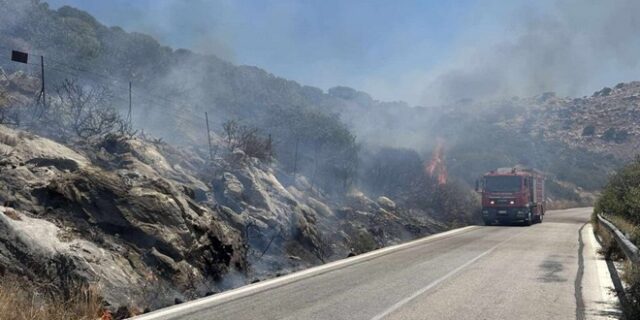 Ηράκλειο: Υπό έλεγχο η φωτιά στο δάσος της Κέρης