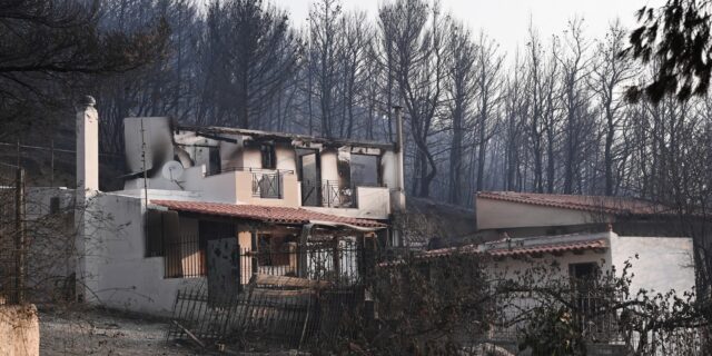 Φωτιές: Αποδεκατισμένη η δασική υπηρεσία της χώρας – Δασολόγος καταγγέλλει σοβαρές ελλείψεις