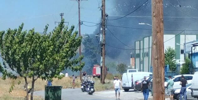 Βόλος: Μεγάλη φωτιά κοντά στο ίδρυμα “Άσπρες Πεταλούδες” – Μήνυμα του 112 για εκκένωση της περιοχής