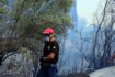 Φωτιά στην Παναγία Βόνιτσας – Επιχειρούν και 4 αεροσκάφη