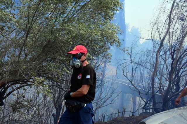 Κεφαλονιά: Προσωρινά ελεύθερος ο εποχικός πυροσβέστης που συνελήφθη για εμπρησμούς