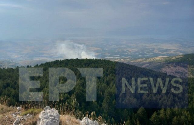 Φωτιά στο Μεσόβουνο Πτολεμαΐδας – Καίγεται πευκόδασος