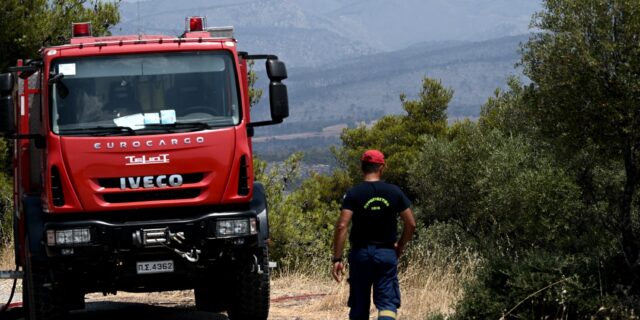 Φωτιές: Οριοθετήθηκε το μέτωπο της Ροδόπης – Καλύτερη εικόνα σε Μάνη και Όλυμπο