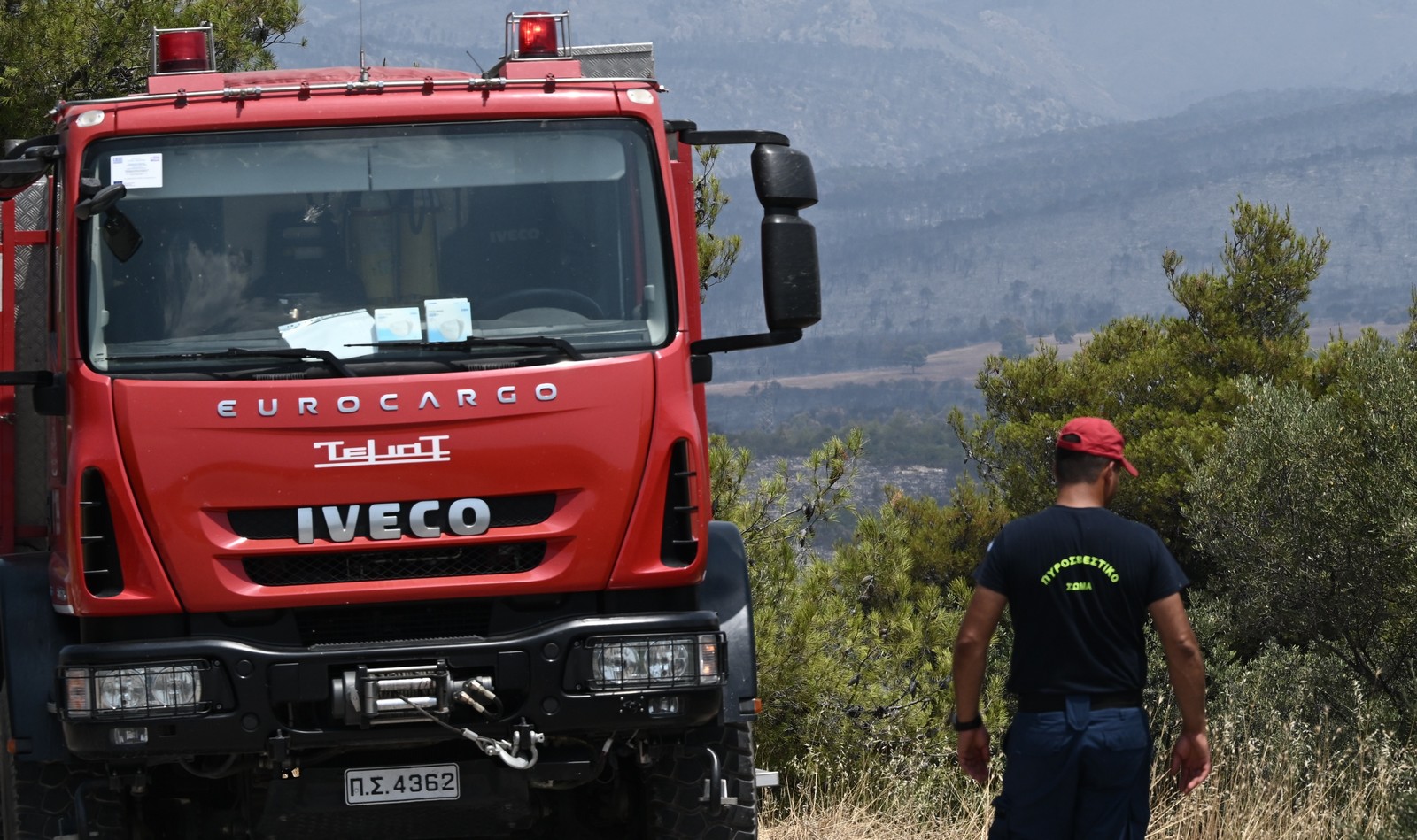 Φωτιά σε δασική έκταση στα Καλάβρυτα – Έντονη κεραυνική δραστηριότητα