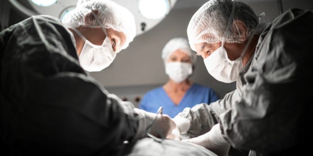 Δύο ερευνητικές ομάδες επιταχύνουν τις εξελίξεις στις μεταμοσχεύσεις νεφρών χοίρων σε ανθρώπους