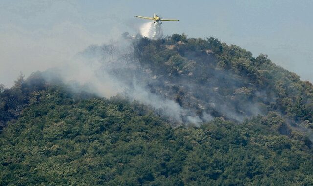 Φωτιά στην Αλεξανδρούπολη: Μεγάλη αναζωπύρωση λόγω των ισχυρών ανέμων – Ενισχύθηκαν οι δυνάμεις