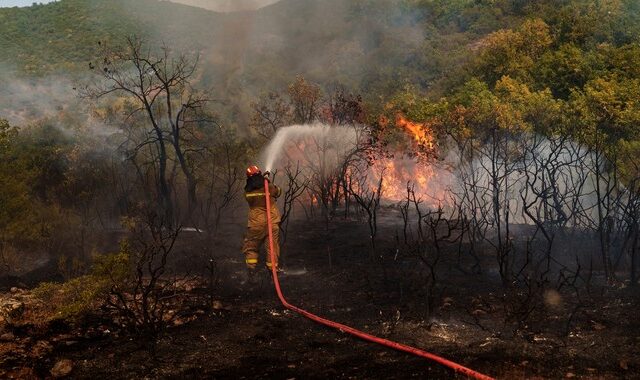 Φωτιές: Το ΥΠΕΝ αμφισβητεί τα στοιχεία για τα καμένα, αλλά κάνει συγκρίσεις με άλλες χώρες πριν καν σβήσουν οι φωτιές