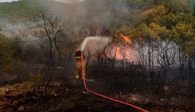 Φωτιές: Το ΥΠΕΝ αμφισβητεί τα στοιχεία για τα καμένα, αλλά κάνει συγκρίσεις με άλλες χώρες πριν καν σβήσουν οι φωτιές