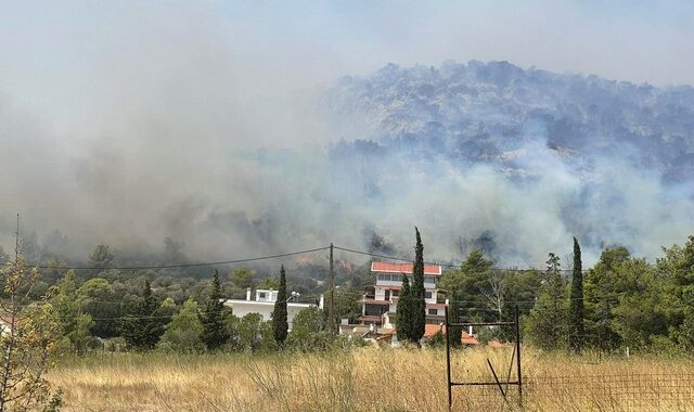 Φωτιά στην Πάρνηθα: Εφιαλτικές στιγμές στην Αγία Παρασκευή Μενιδίου – Τα ντοκουμέντα από το μέτωπο